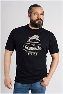 Kurzarm-T-Shirt mit Brustprint von Kitaro.
