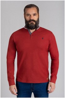 Forestal Polo mit Mao-Kragen