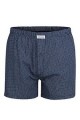 Bedruckte Boxershorts von Götzburg.