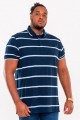 Gestreiftes Kurzarmpolo von D555